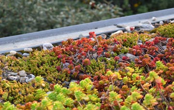 the cost of Dry Doddington green roof installation