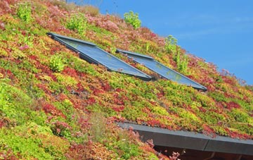 Dry Doddington living roof systems