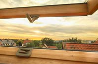 rated Dry Doddington roof window companies